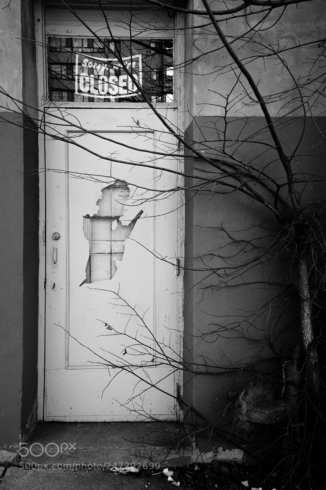 Fujifilm X-T20 sample photo. Untitled shoot photography