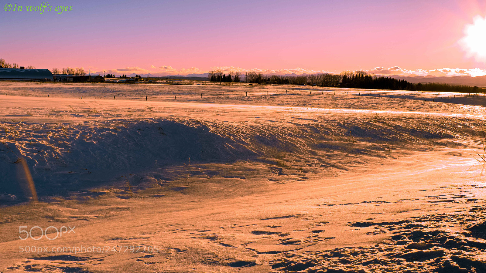 Nikon D500 sample photo. Sun setting, canada photography