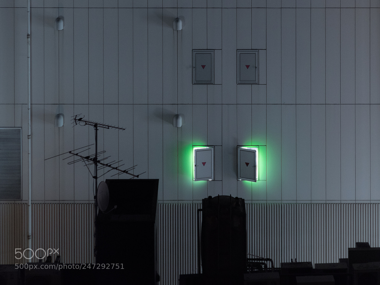 Nikon D810 sample photo. Green light doors in photography