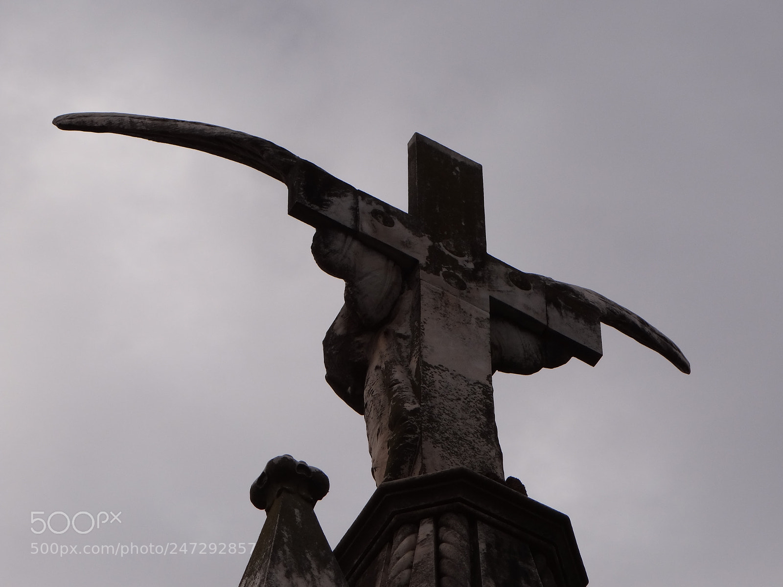 Sony Cyber-shot DSC-HX100V sample photo. Wings photography