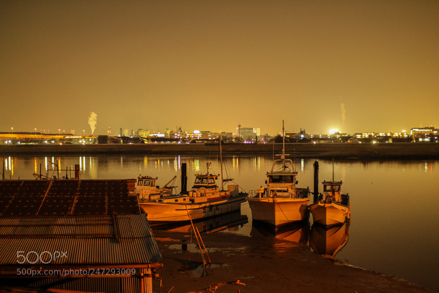 Canon EOS 550D (EOS Rebel T2i / EOS Kiss X4) sample photo. Ships on tama river photography