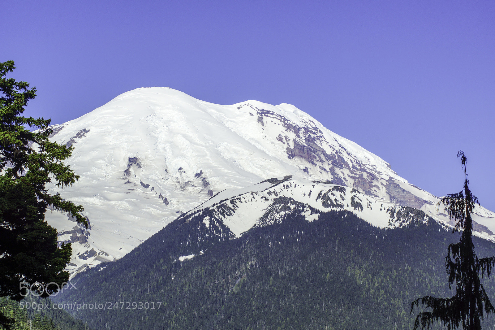 Sony SLT-A77 sample photo. Mount rainier photography