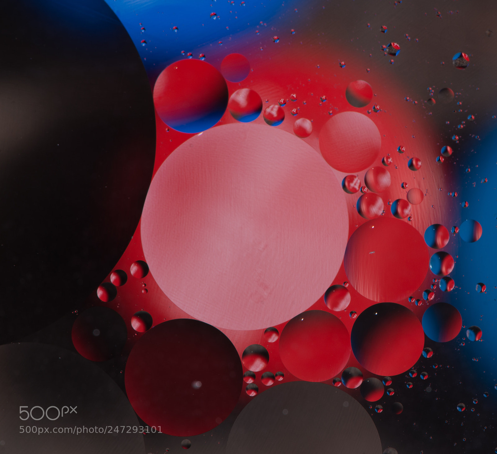 Nikon D610 sample photo. 24923906167.jpg photography