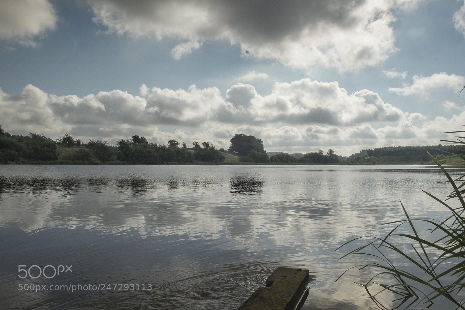 Fujifilm X-T1 sample photo. 36774078963.jpg photography