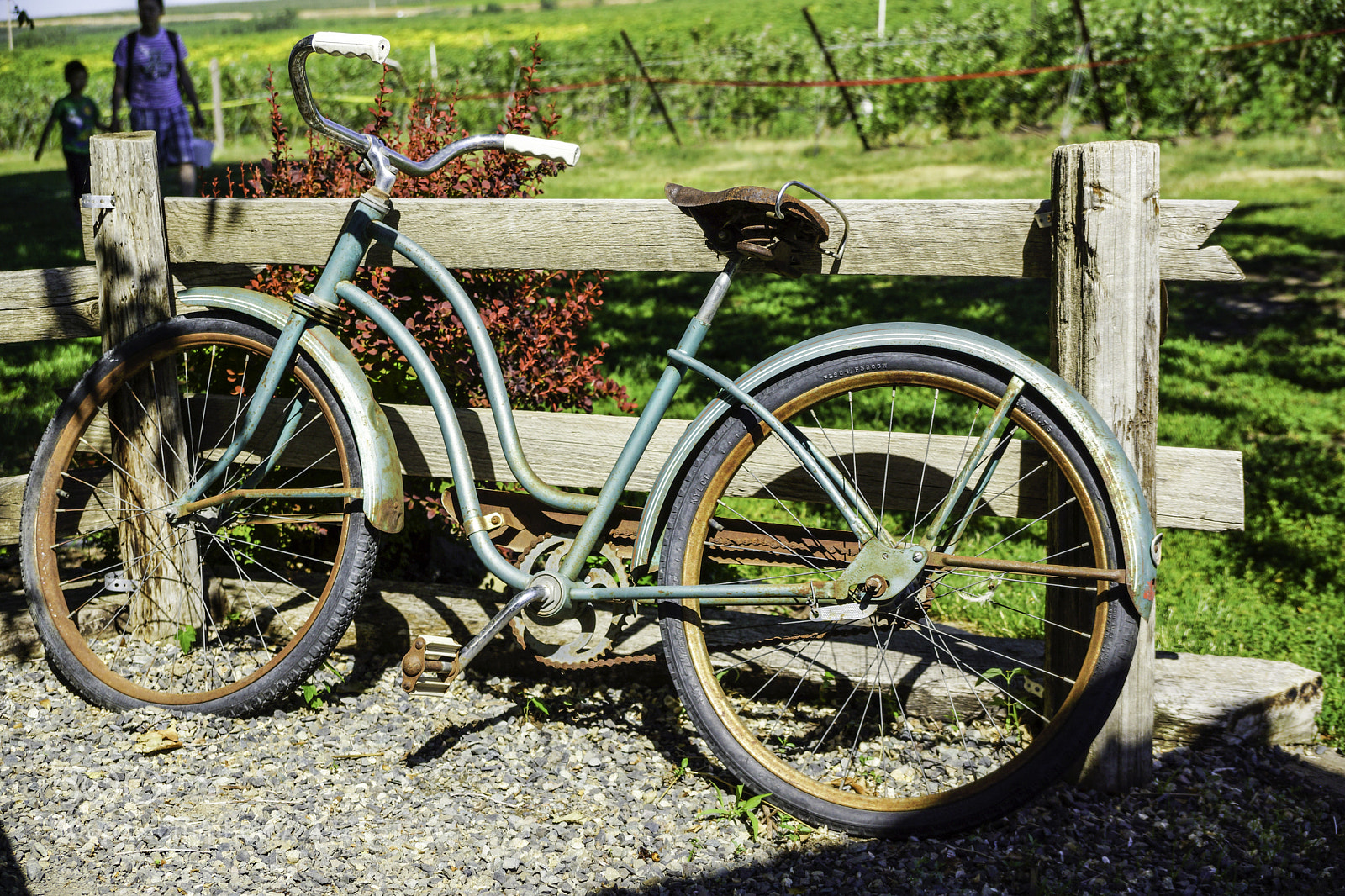 Sony SLT-A77 sample photo. Old bike photography