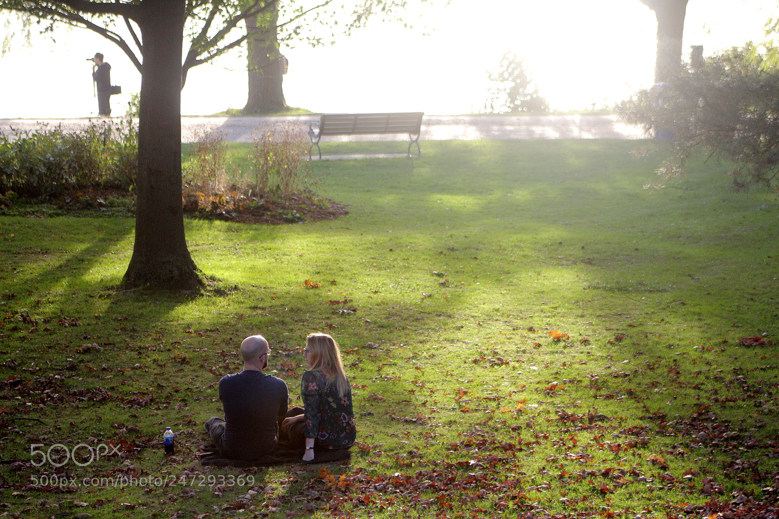 Canon EOS 650D (EOS Rebel T4i / EOS Kiss X6i) sample photo. Couple in the park photography