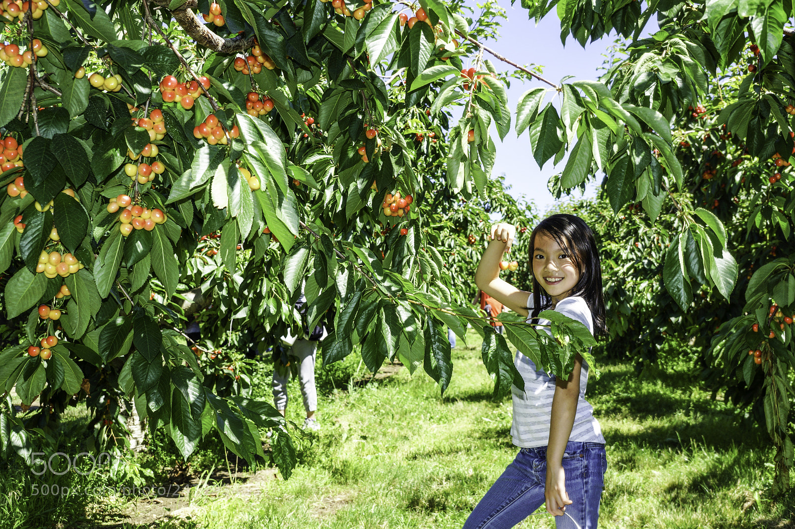 Sony SLT-A77 sample photo. Beautiful girl eating cherries photography