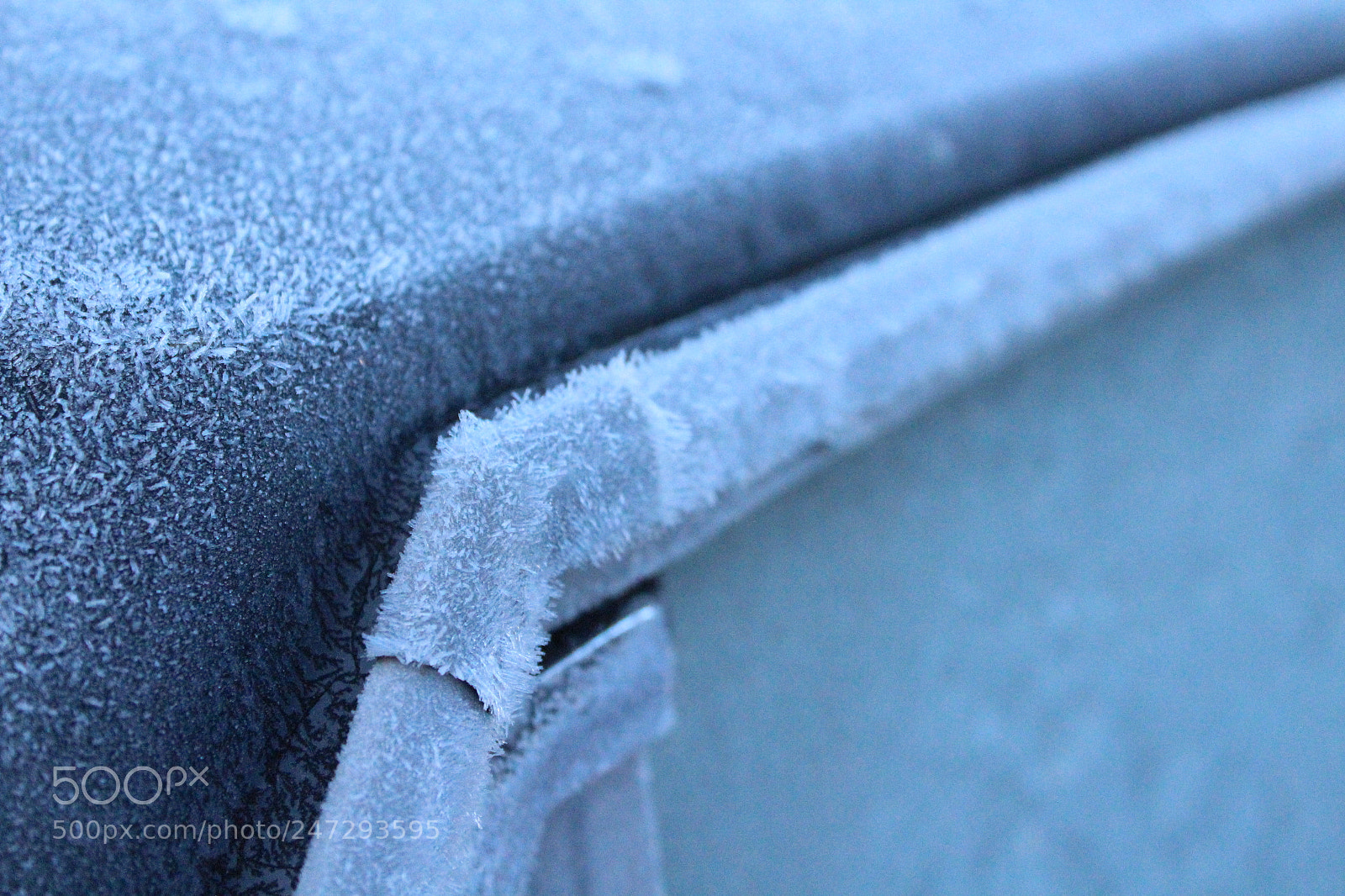 Canon EOS 1300D (EOS Rebel T6 / EOS Kiss X80) sample photo. Icy chrome photography