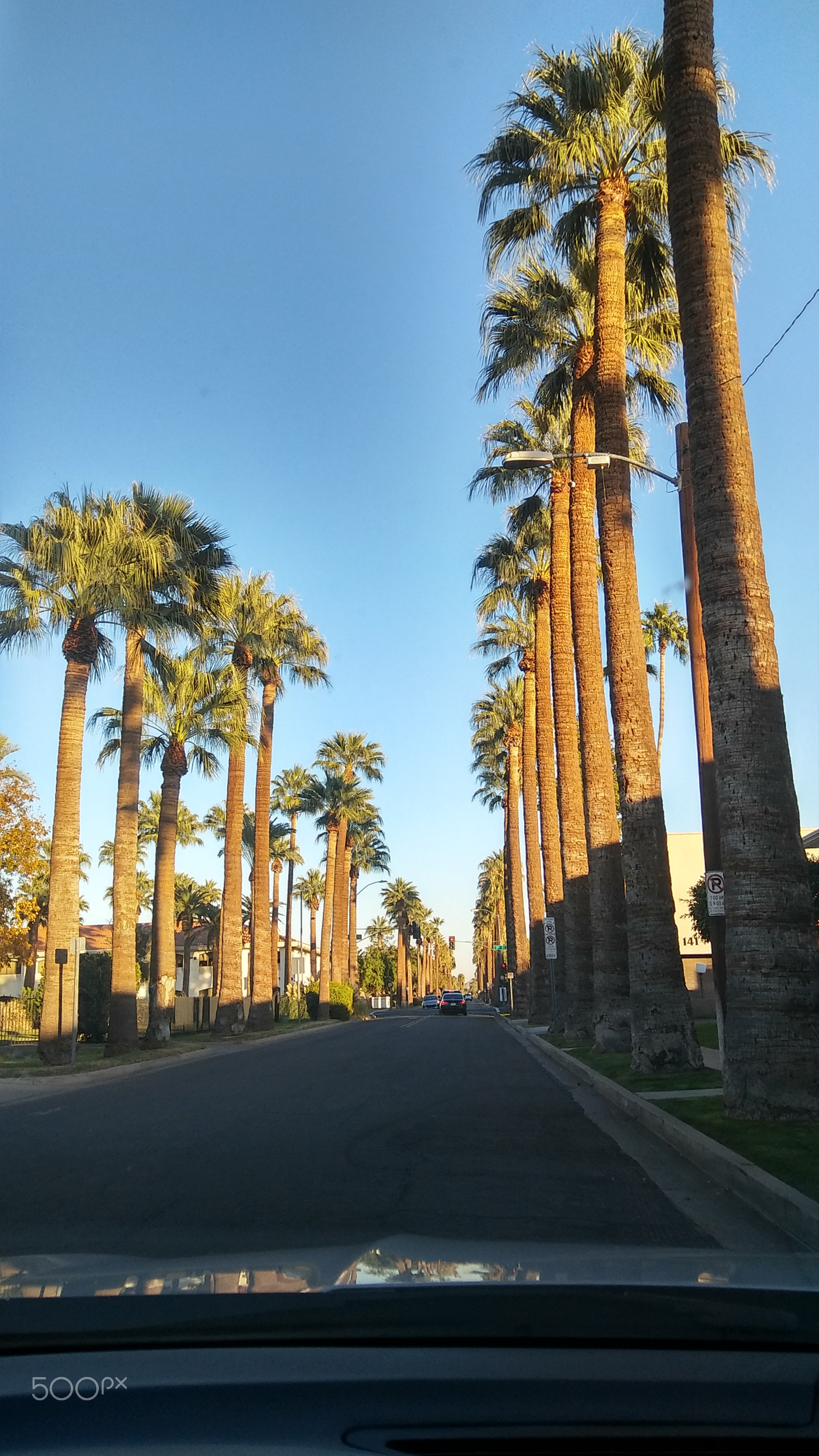 LG STYLO 2 PLUS sample photo. Cruisin' in the sun photography