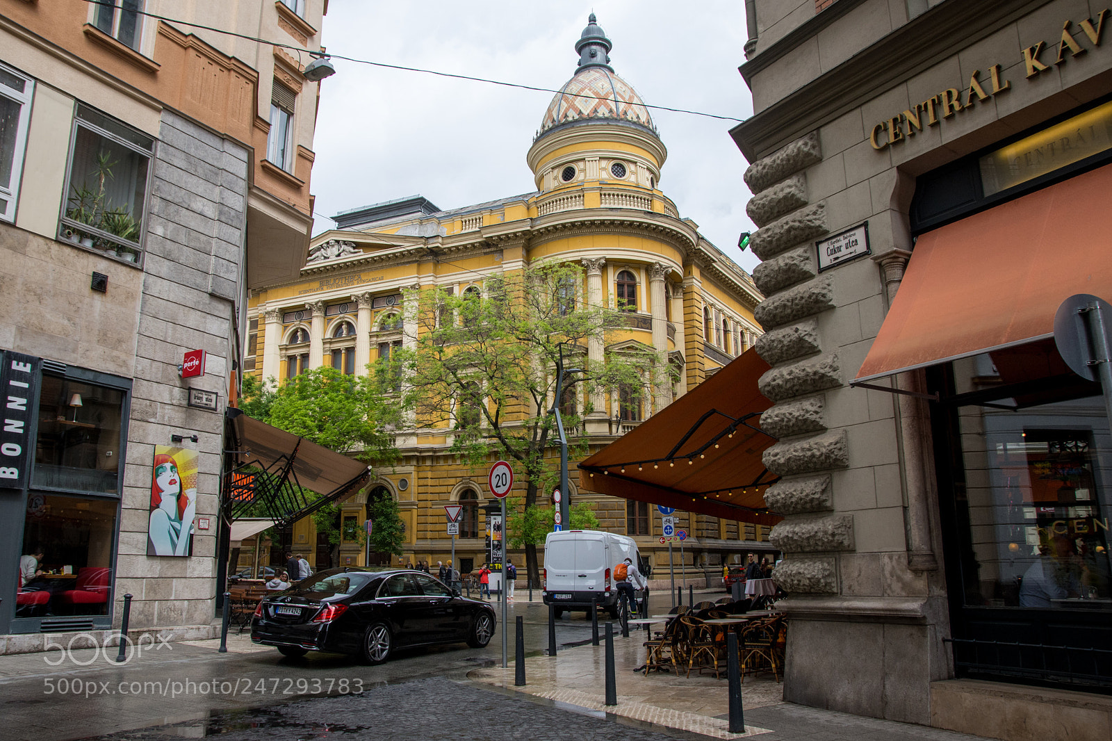 Nikon D7200 sample photo. Bibliotheca photography