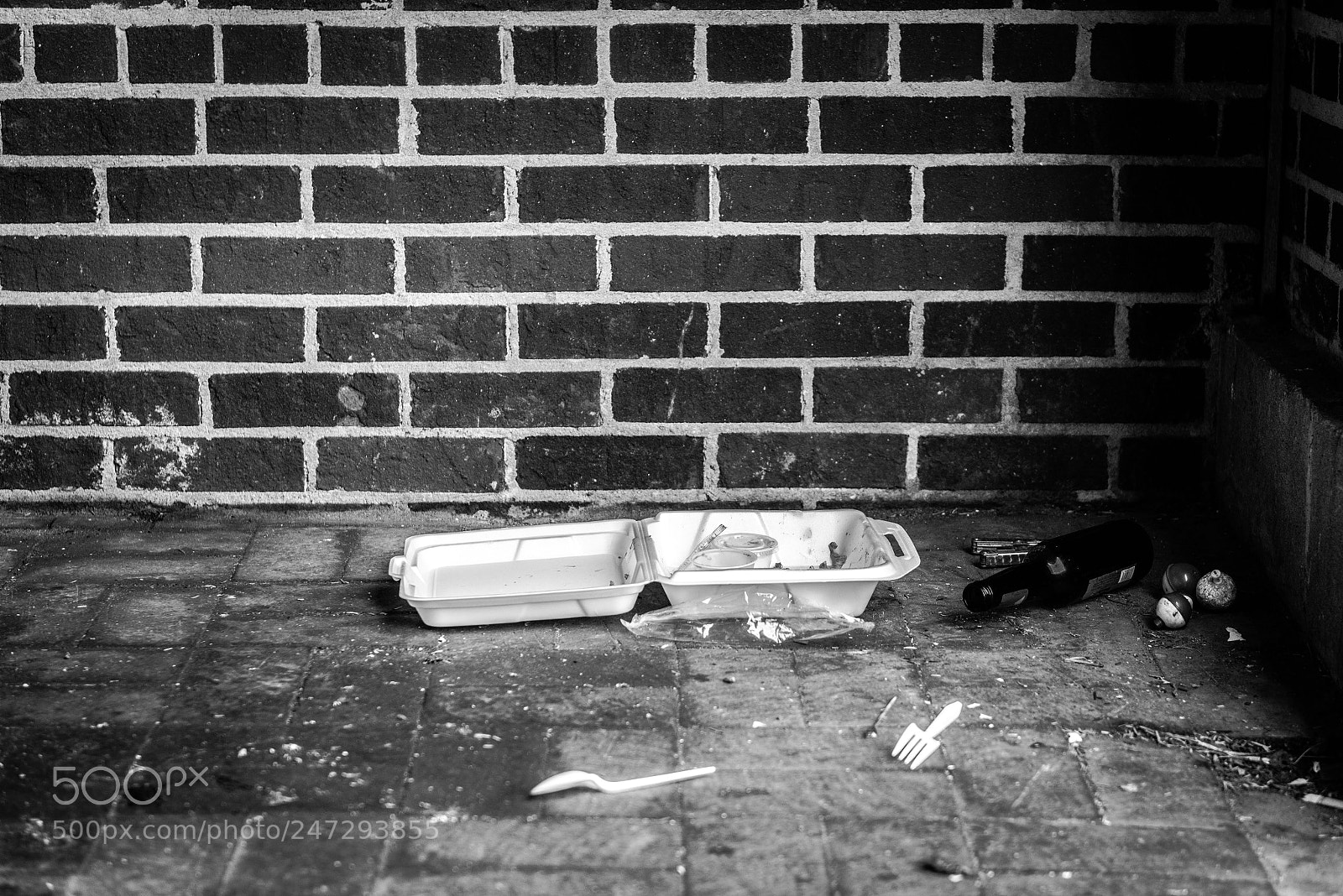 Nikon D800 sample photo. The discarded photography