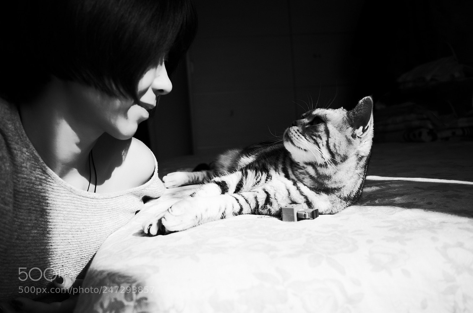 Ricoh GR II sample photo. 兄弟，爪子！嘛呢？！ photography
