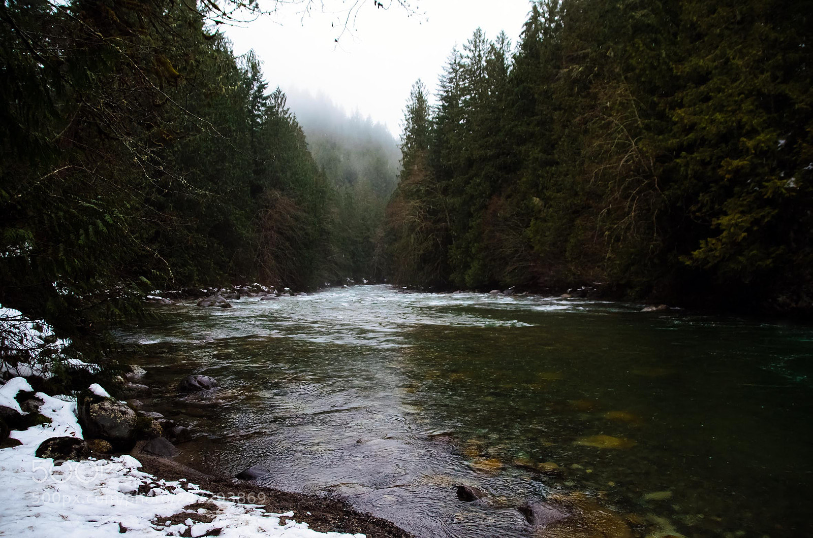 Nikon D5100 sample photo. Enchanted forest, bc photography