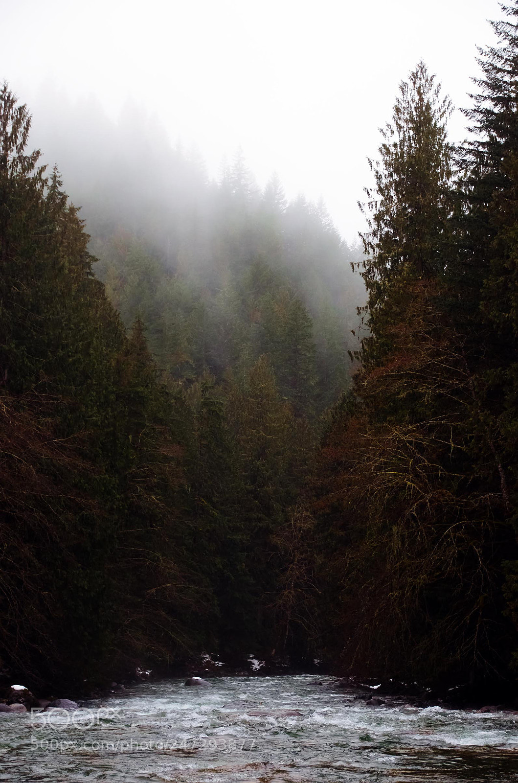 Nikon D5100 sample photo. Mysterious place, bc photography
