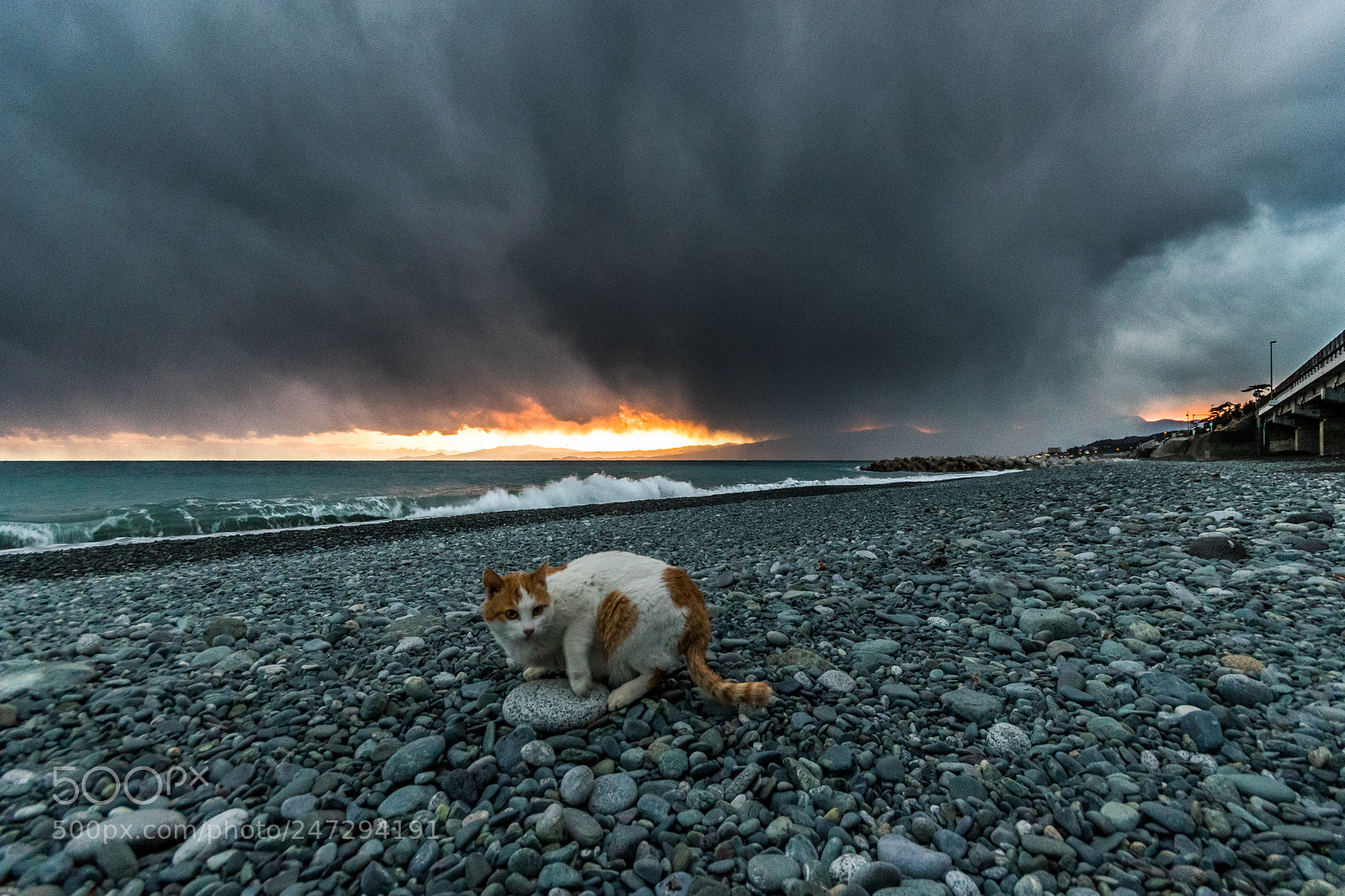 Canon EOS 7D Mark II sample photo. A storm is coming. photography