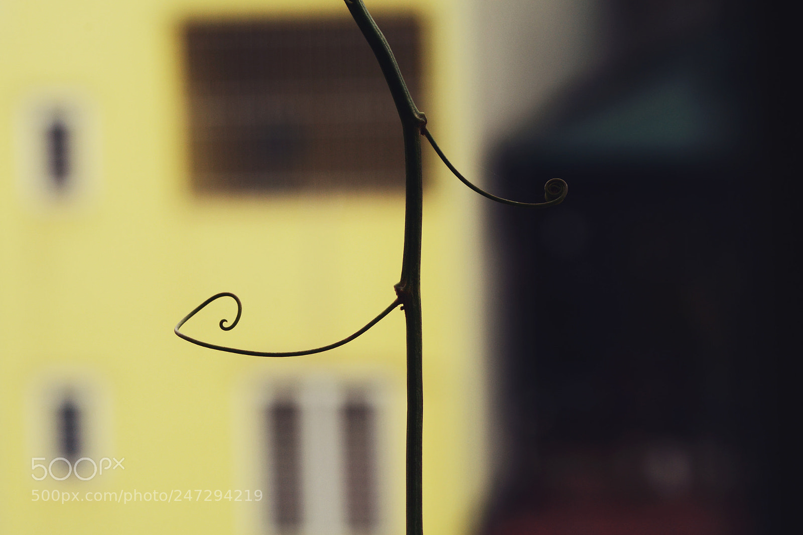 Nikon D7100 sample photo. Untitled photography