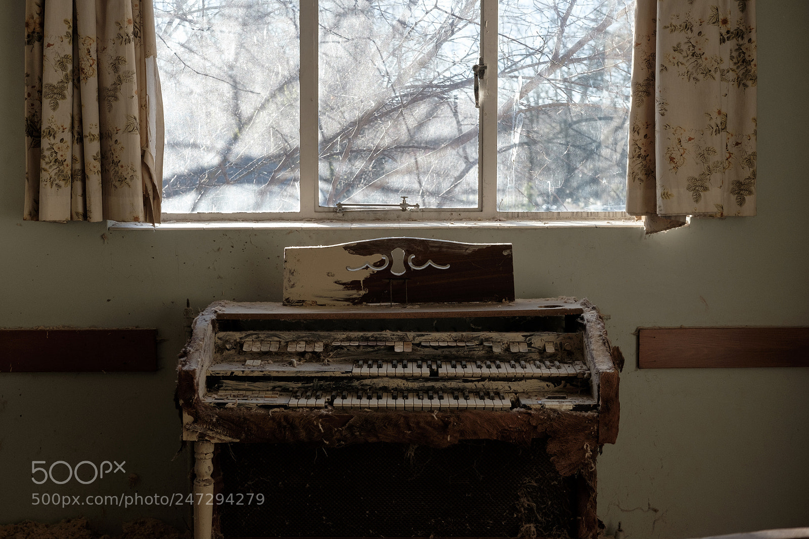 Fujifilm X-T1 sample photo. Untitled photography