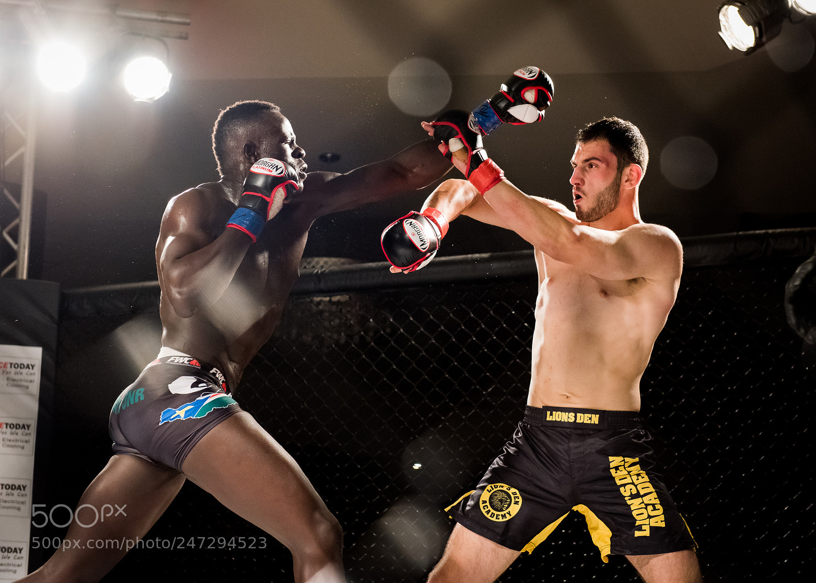 Nikon D810 sample photo. Mma fighers squaring off photography