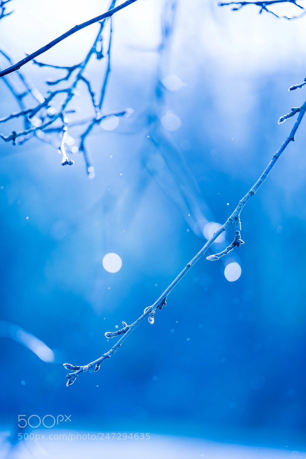 Sony a9 sample photo. Rainy winters day photography