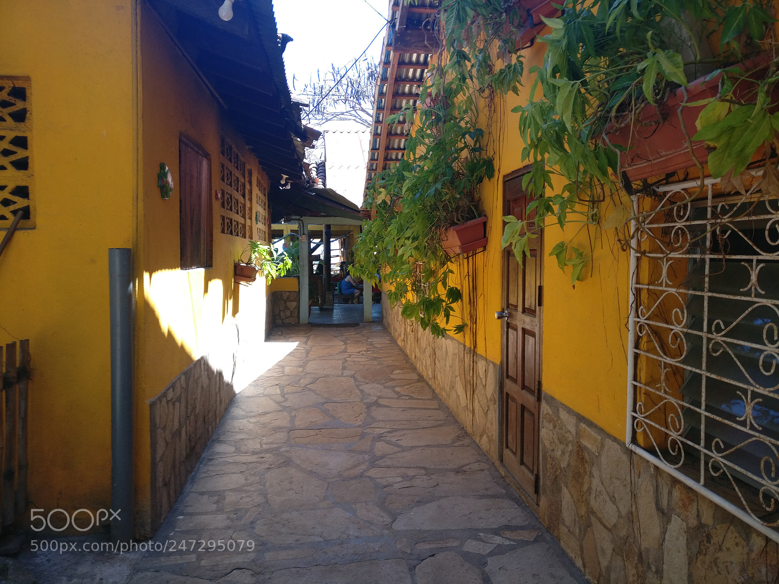 OnePlus A3000 sample photo. Little paradise photography