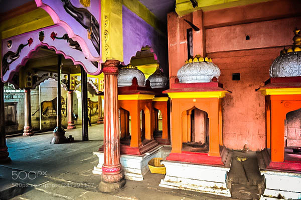 Nikon Df sample photo. Untitled photography