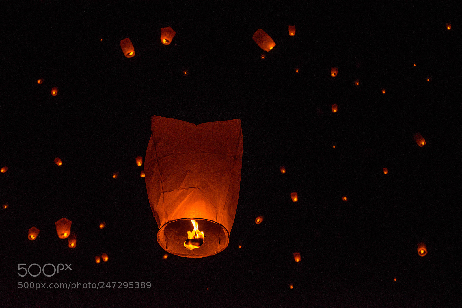 Nikon D5600 sample photo. Dream lantern photography