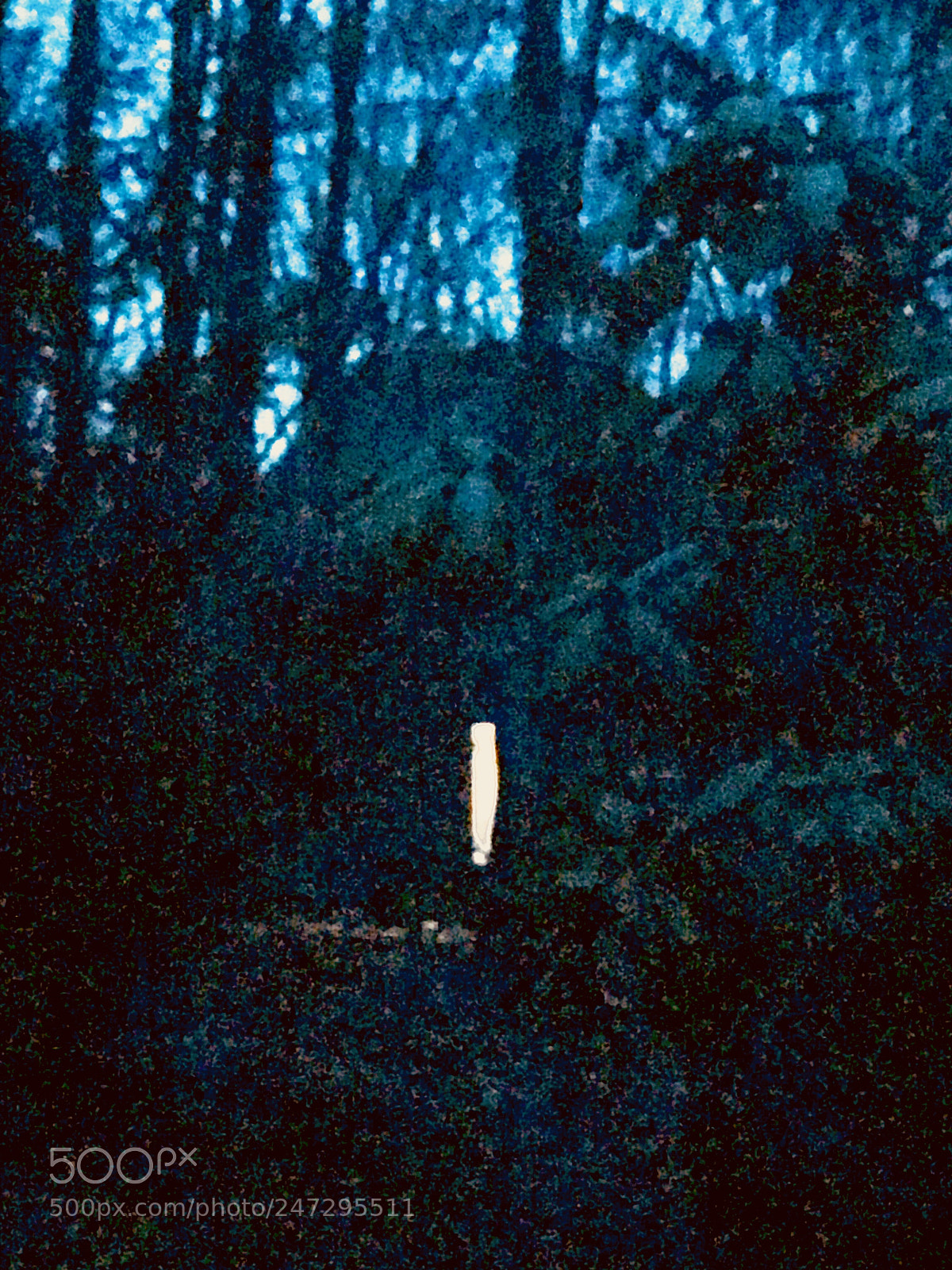 Apple iPhone 7 Plus sample photo. After sundown 2 photography