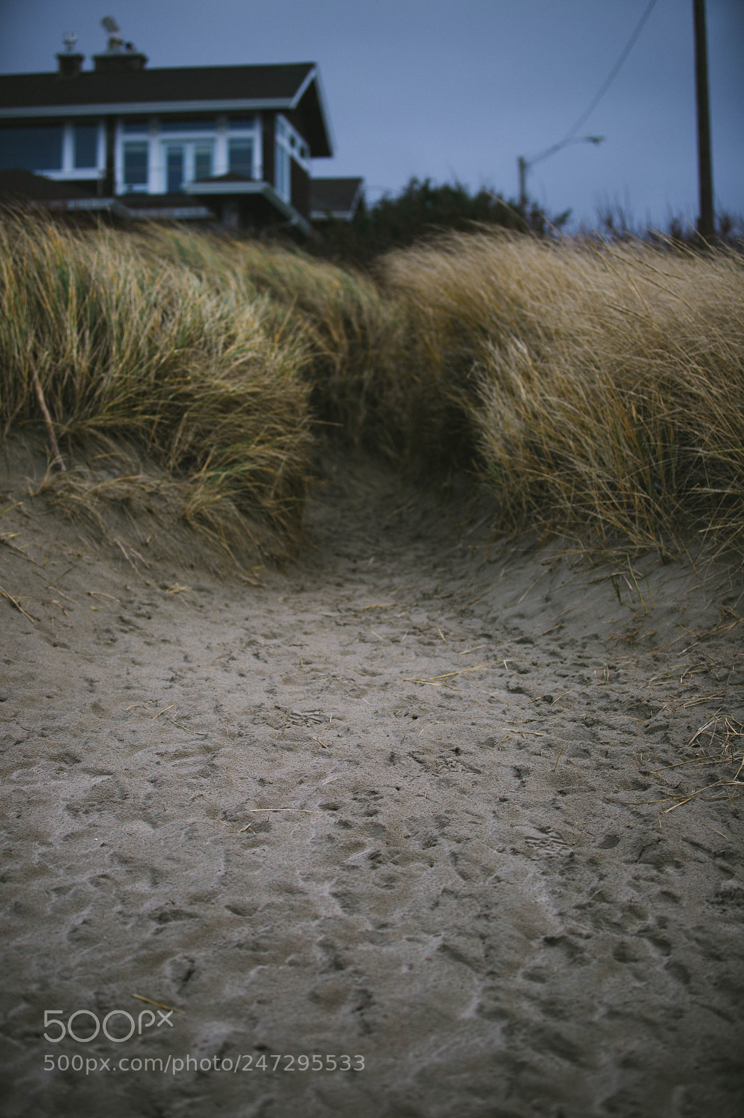 Canon EOS 6D Mark II sample photo. Path home photography