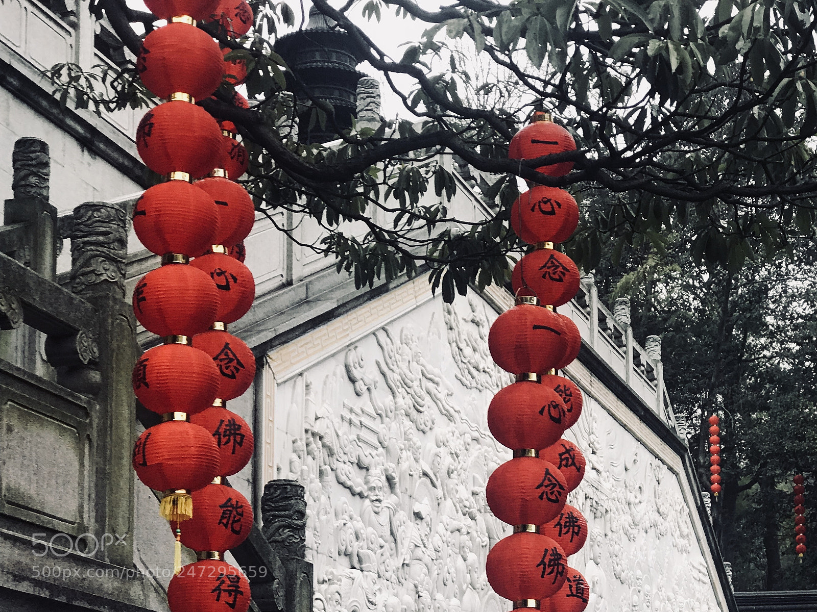 Apple iPhone 7 Plus sample photo. 上天竺 photography
