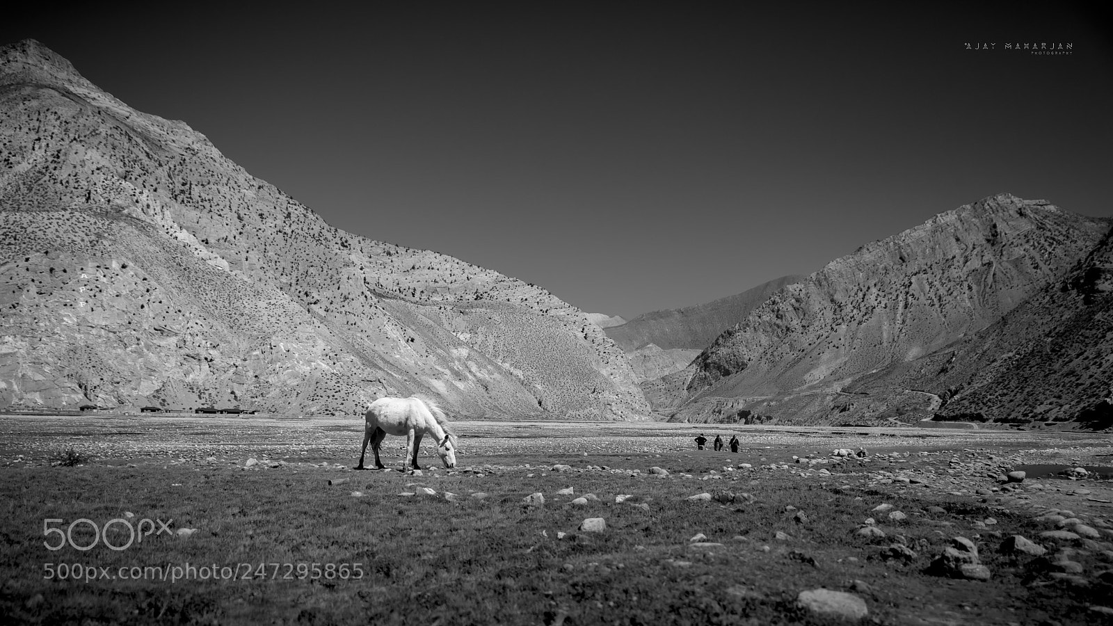 Nikon D810 sample photo. ~jomsom, nepal~ photography