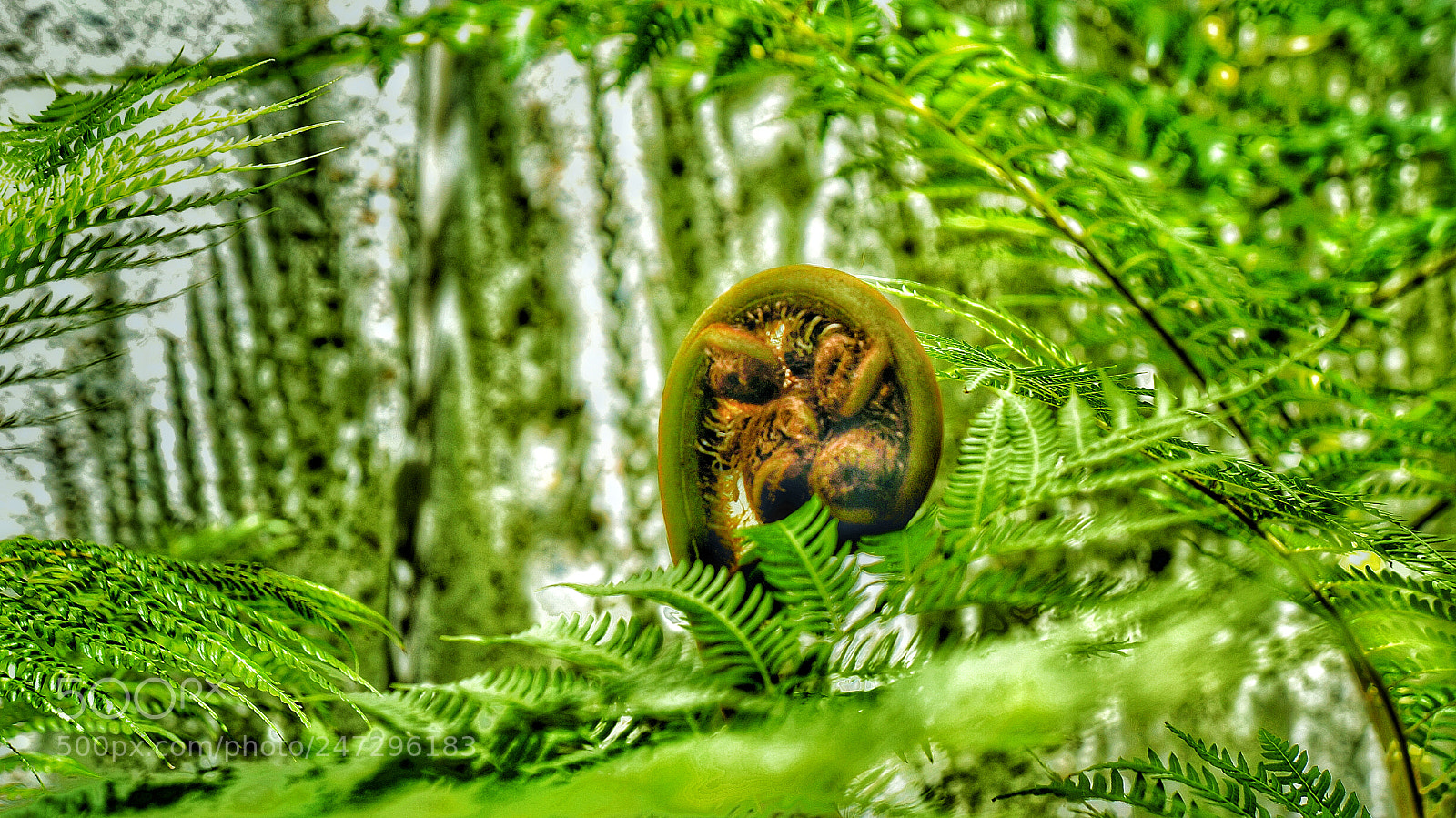 Sony Alpha NEX-5N sample photo. Untitled photography