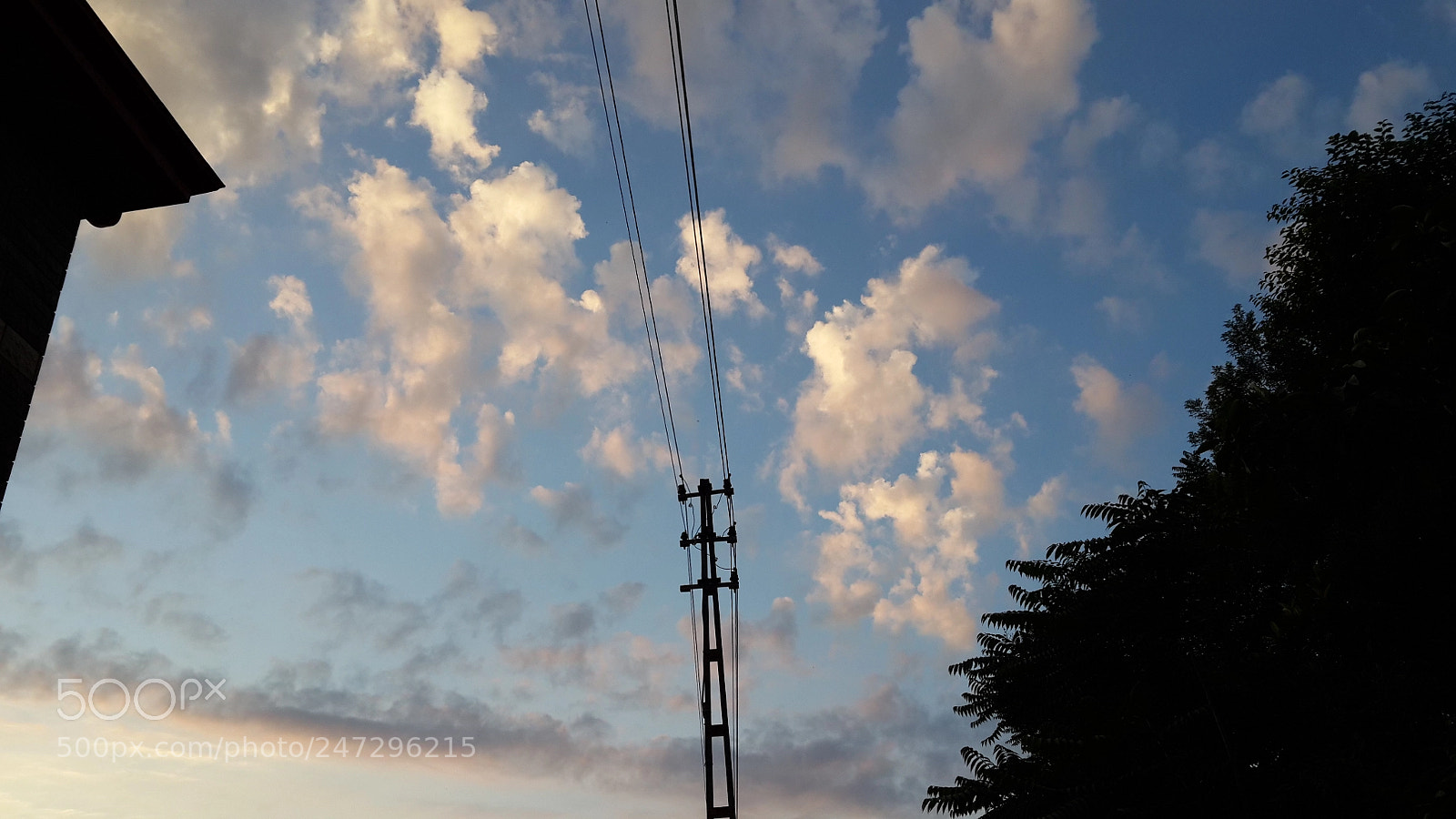 Samsung Galaxy S4 sample photo. Untitled photography