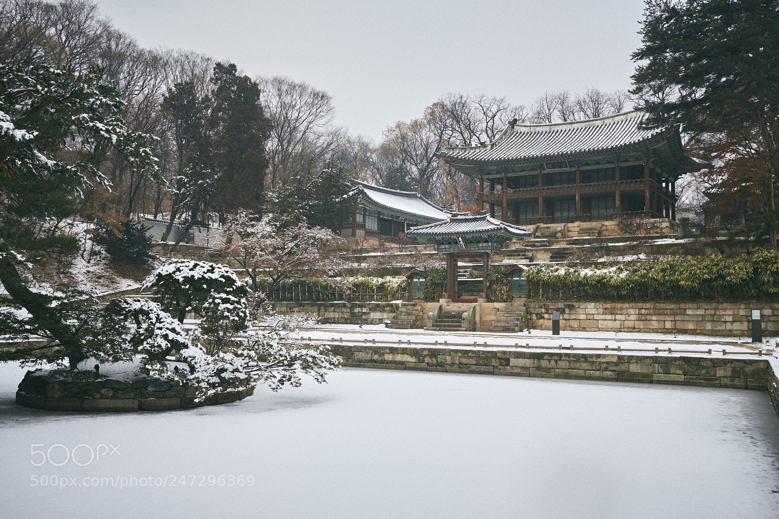 Fujifilm X-Pro2 sample photo. Snow, changdeokgung photography