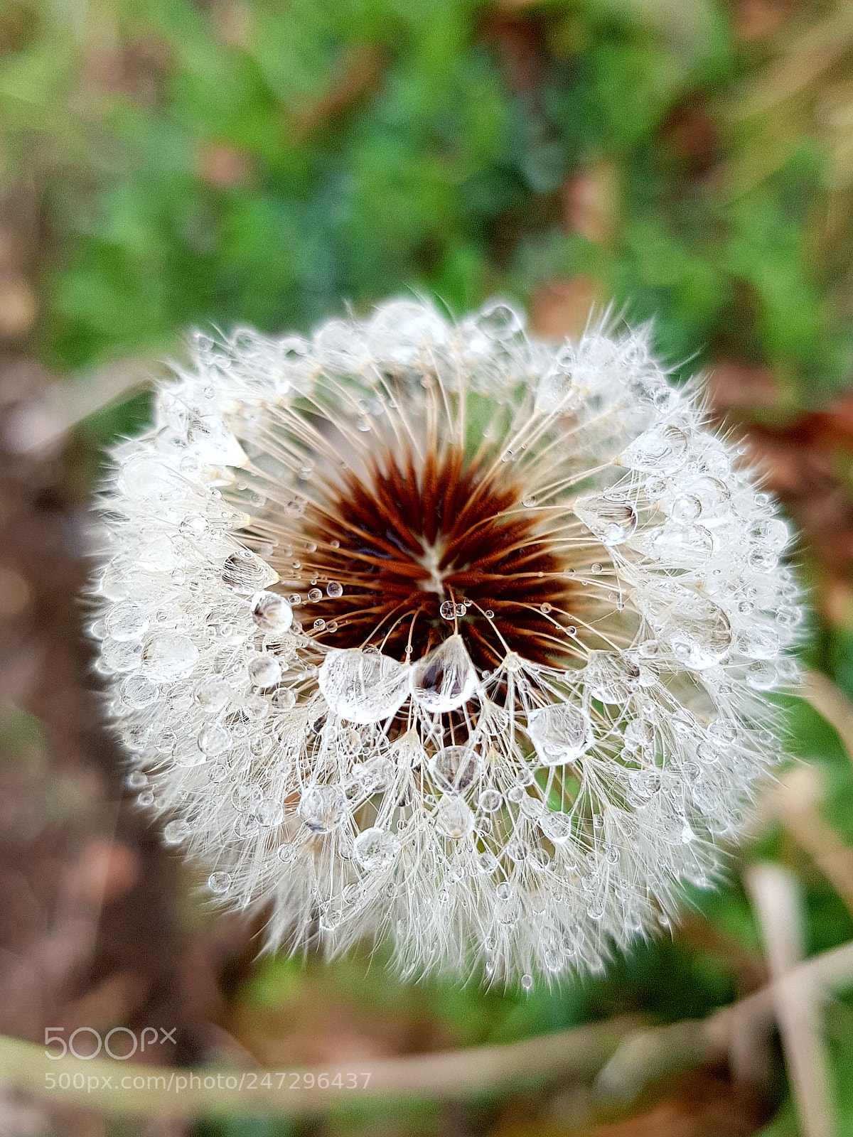 Samsung Galaxy S8 sample photo. Untitled photography