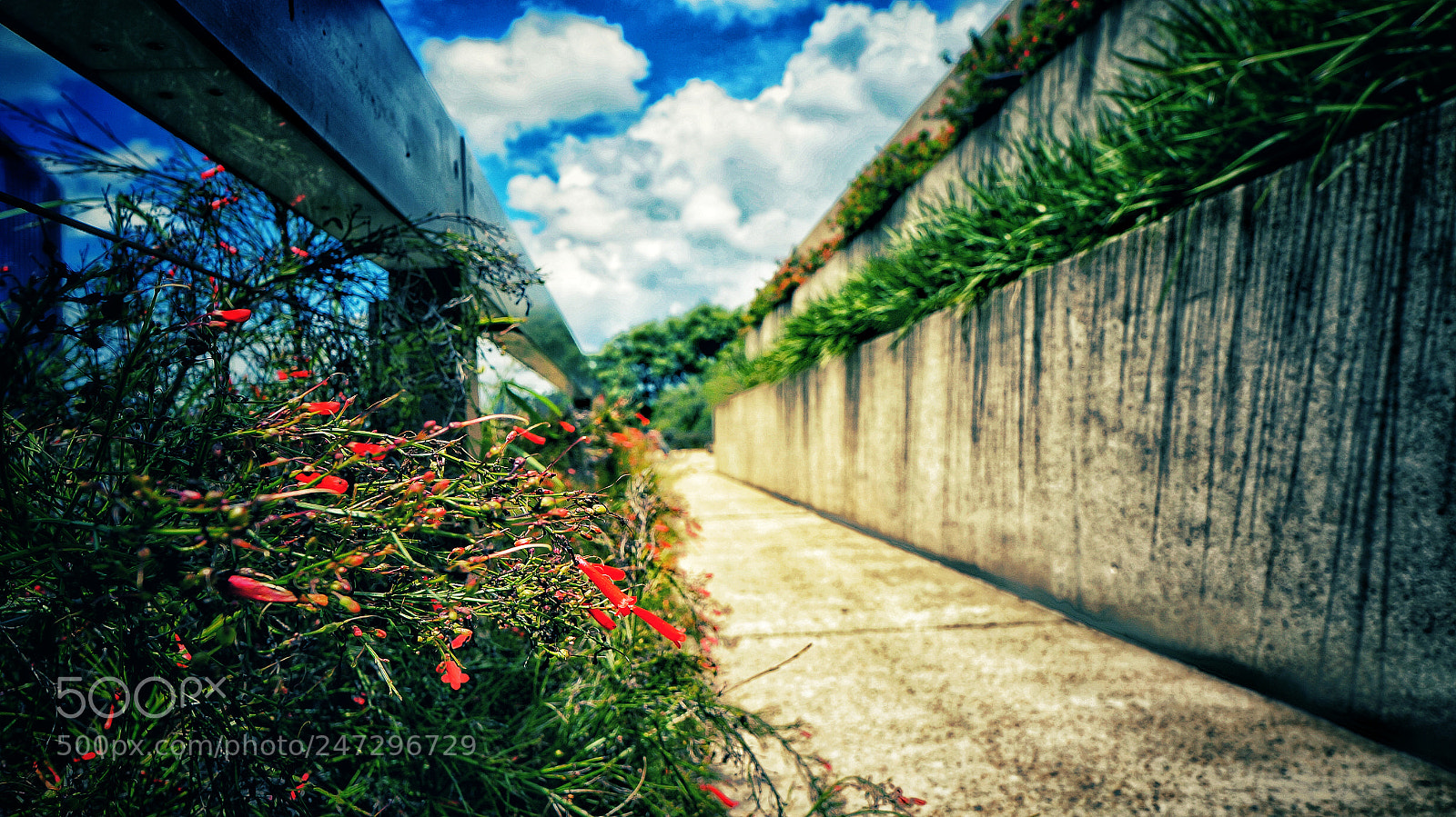 Sony Alpha NEX-5N sample photo. Untitled photography