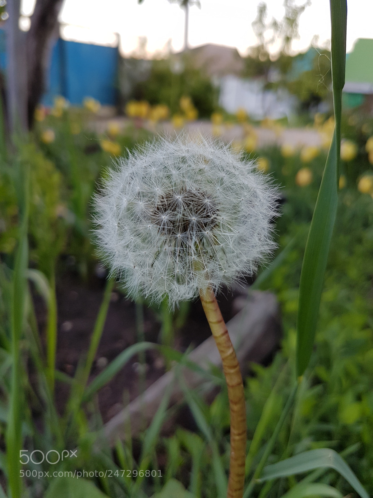 Samsung Galaxy S7 Edge sample photo. Untitled photography