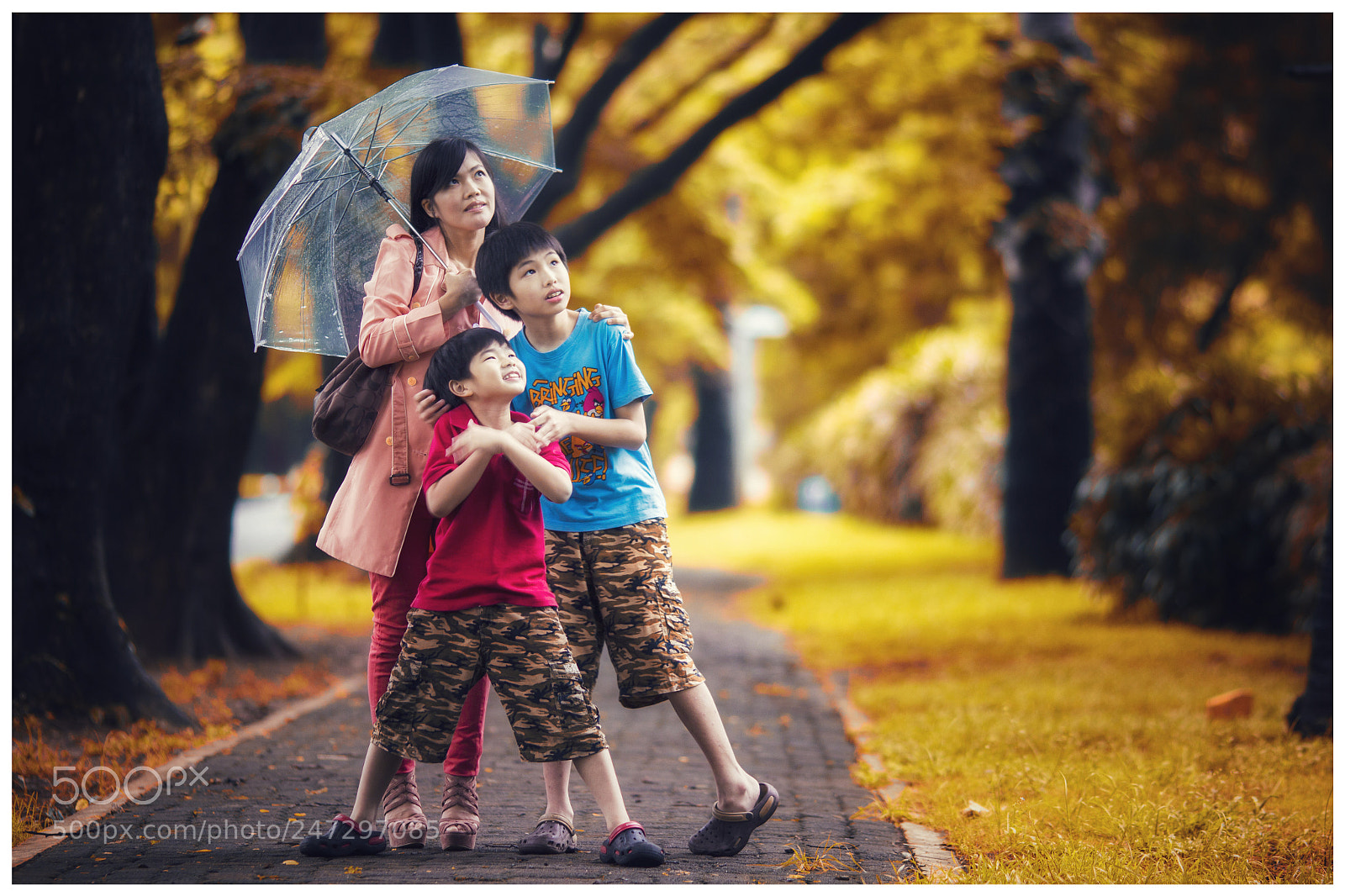 Canon EOS 550D (EOS Rebel T2i / EOS Kiss X4) sample photo. Ancol park photography