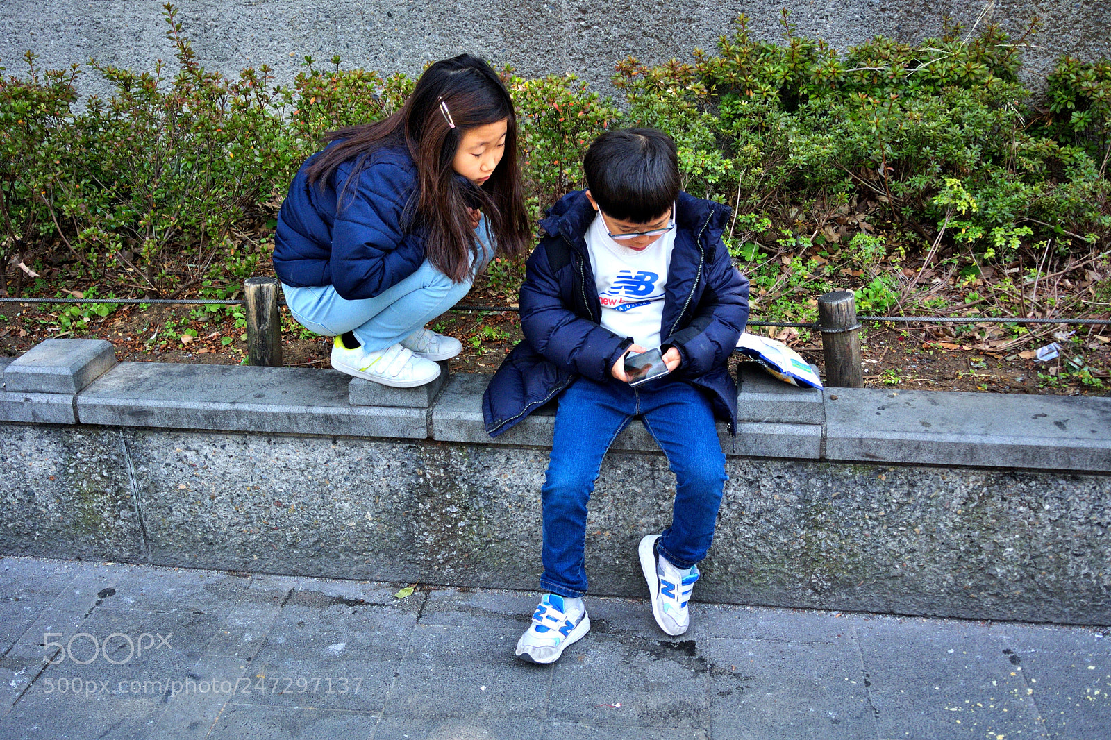 Nikon 1 V1 sample photo. What are you watching? photography