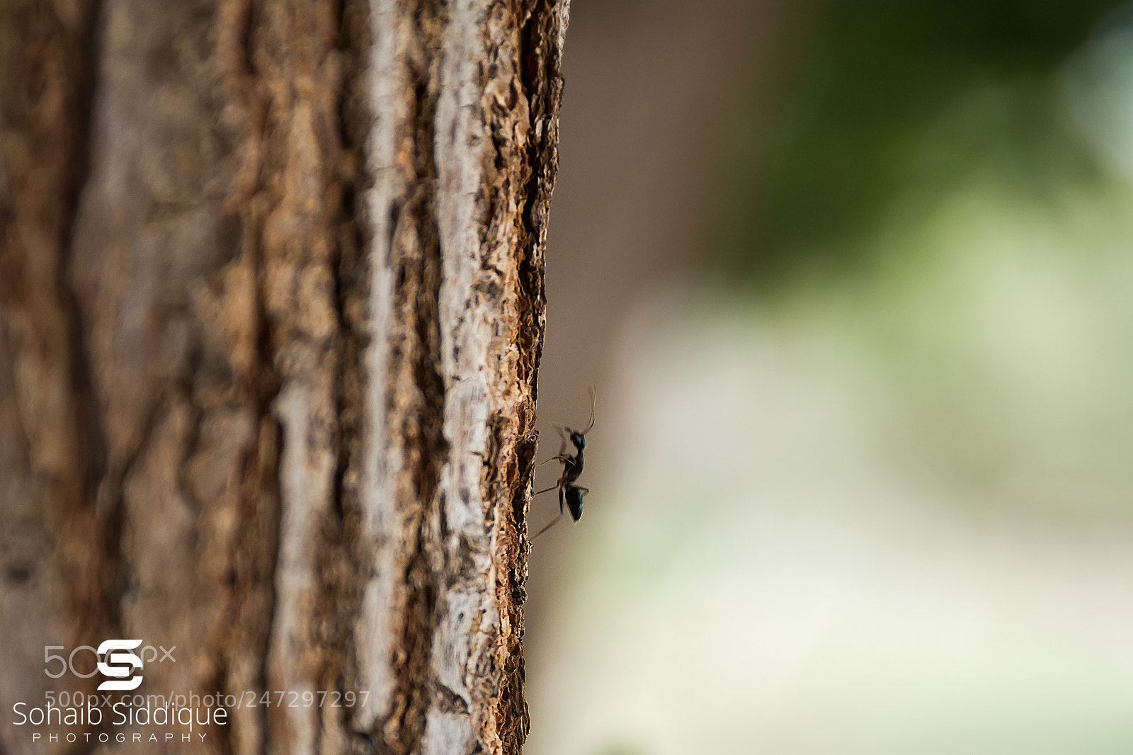 Nikon D7100 sample photo. Journey for life photography