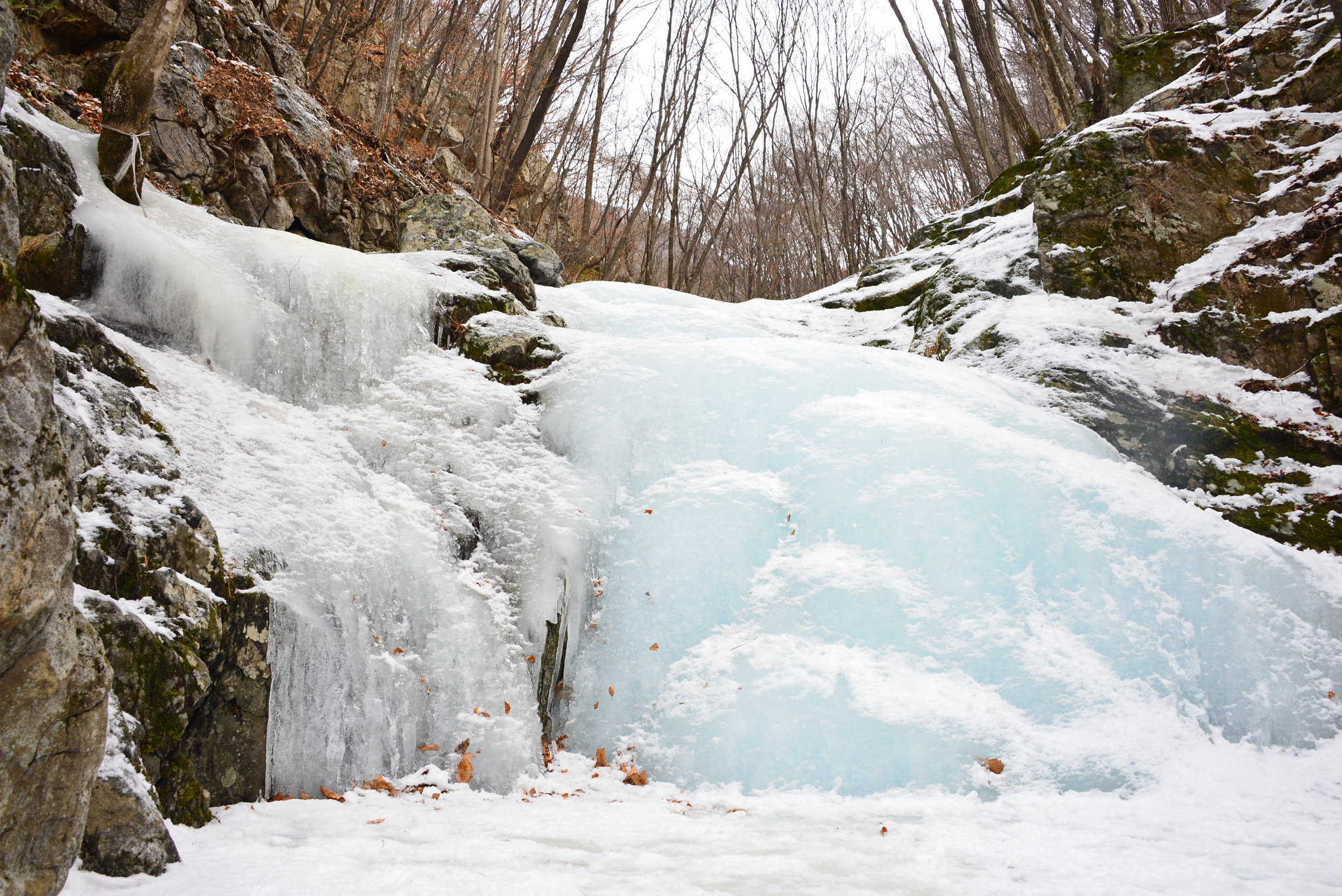 Nikon D610 sample photo