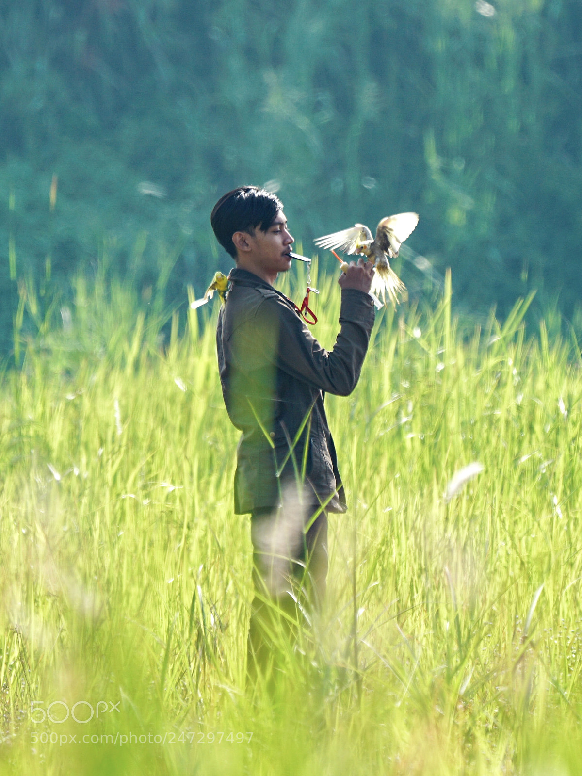 Sony a7R II sample photo. Playing with birds photography