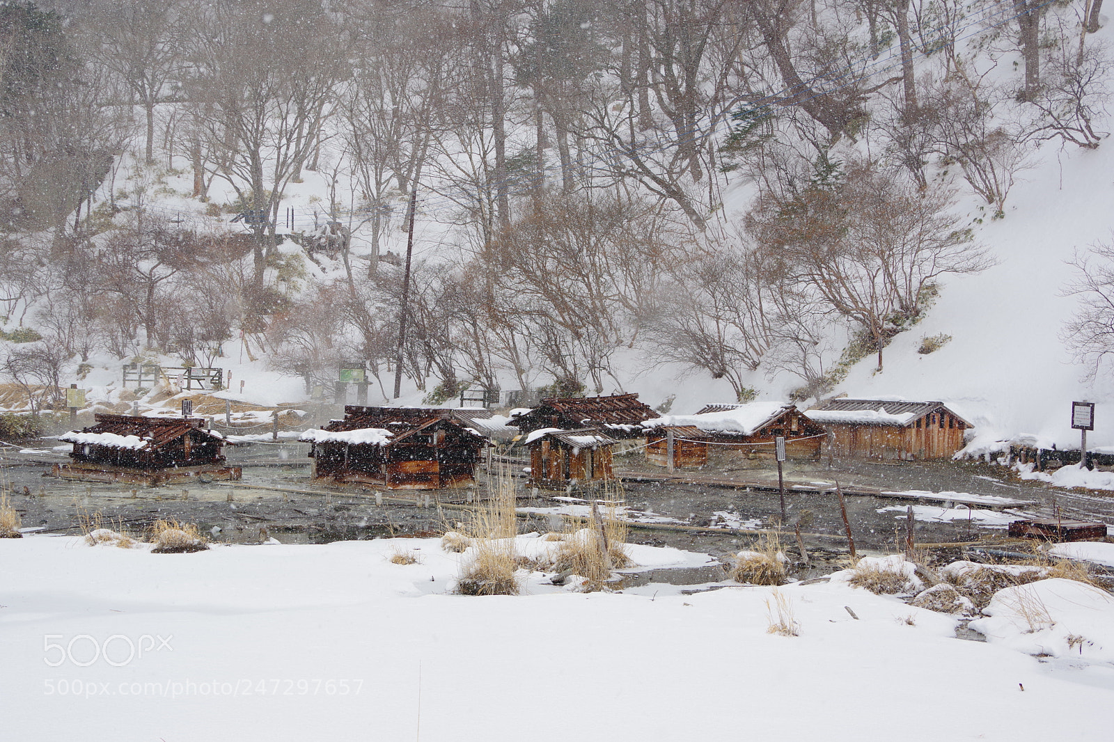 Pentax K-70 sample photo. Untitled photography