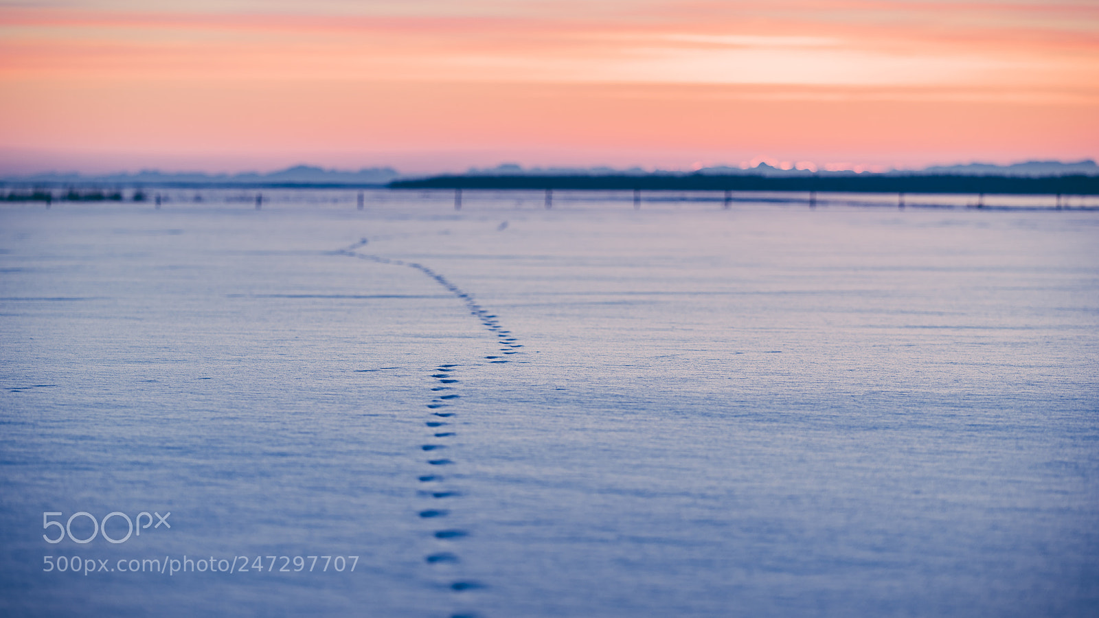 Nikon D810 sample photo. Winter tracks photography