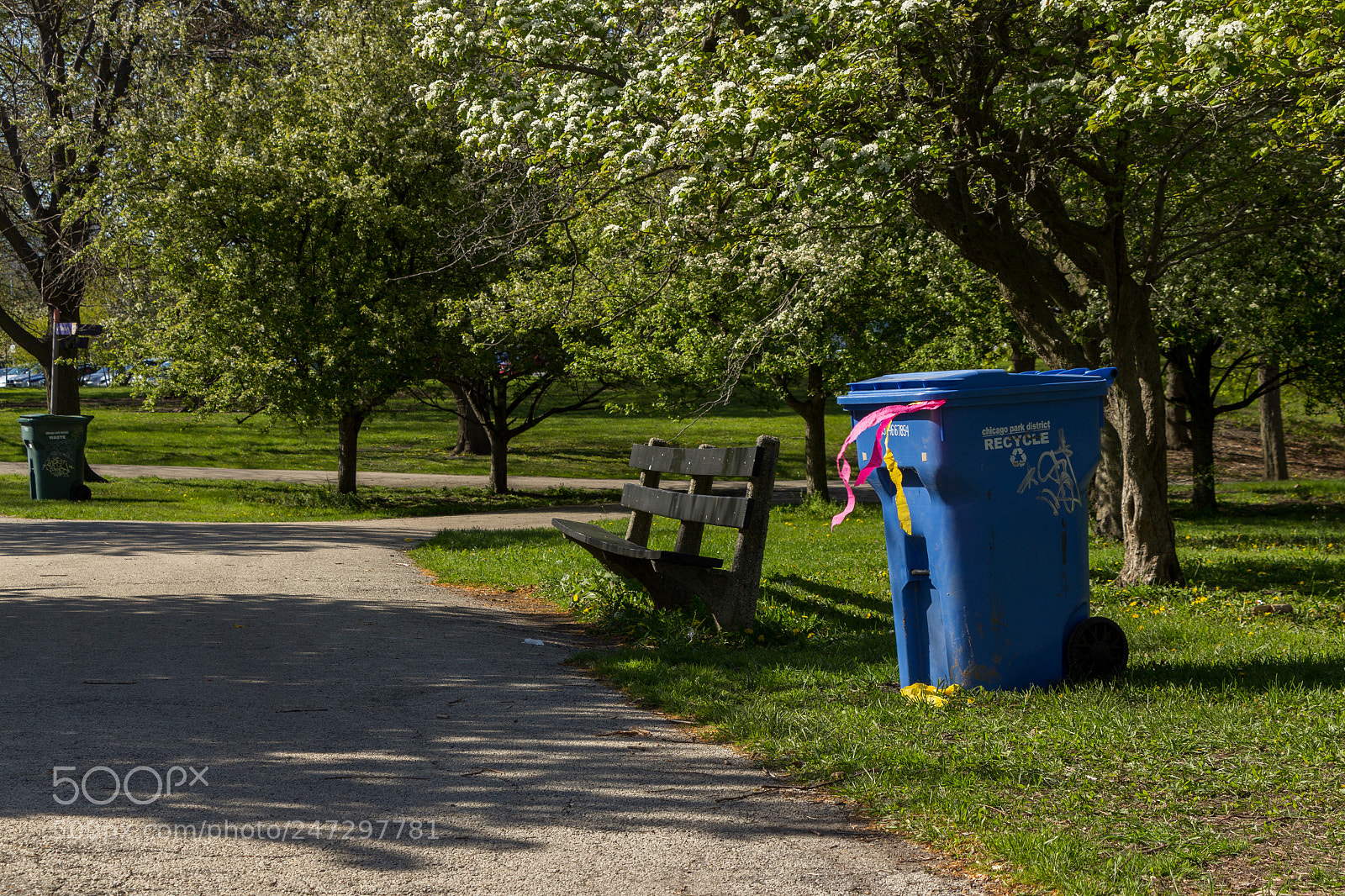 Canon EOS 60D sample photo. The trashed remains photography