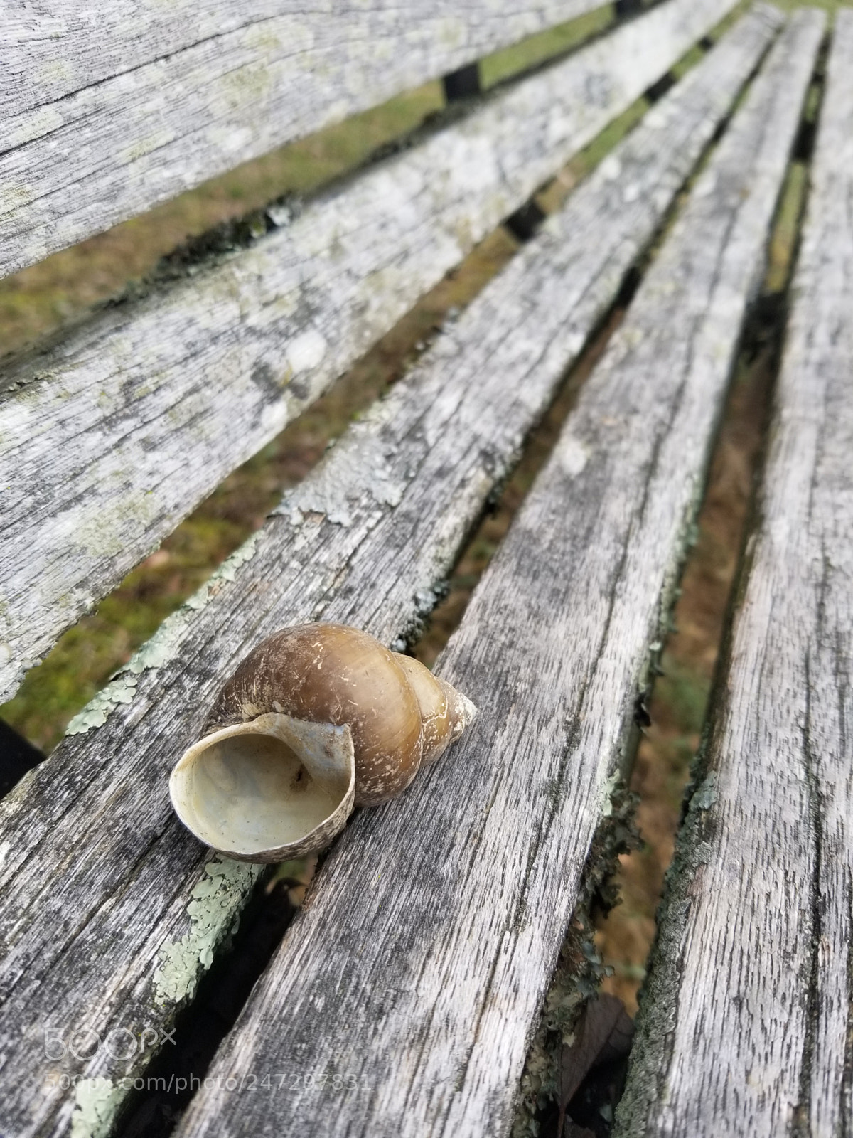 Samsung Galaxy S8 sample photo. Untitled photography