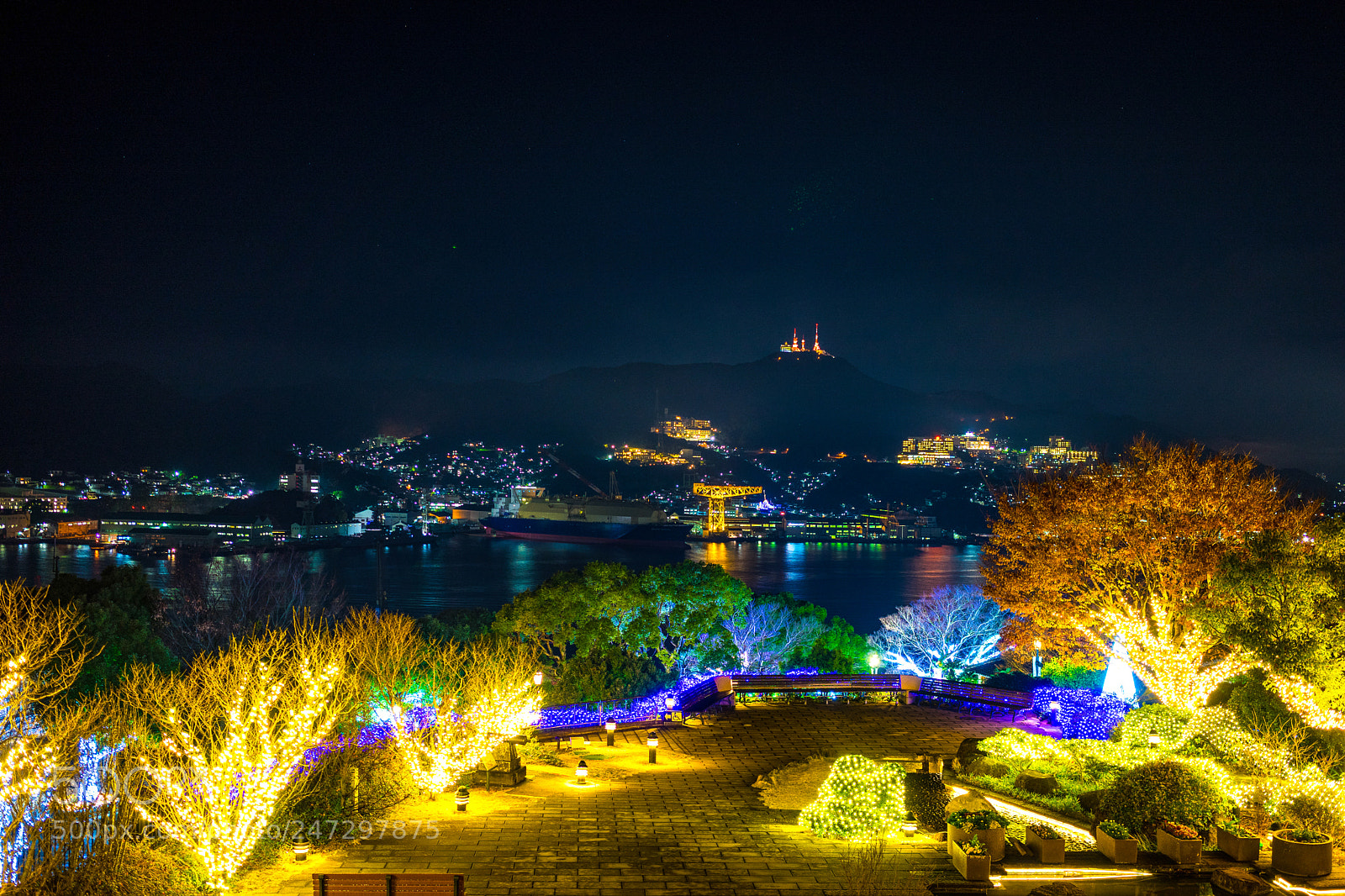 Sony a7 II sample photo. Glover garden lights photography