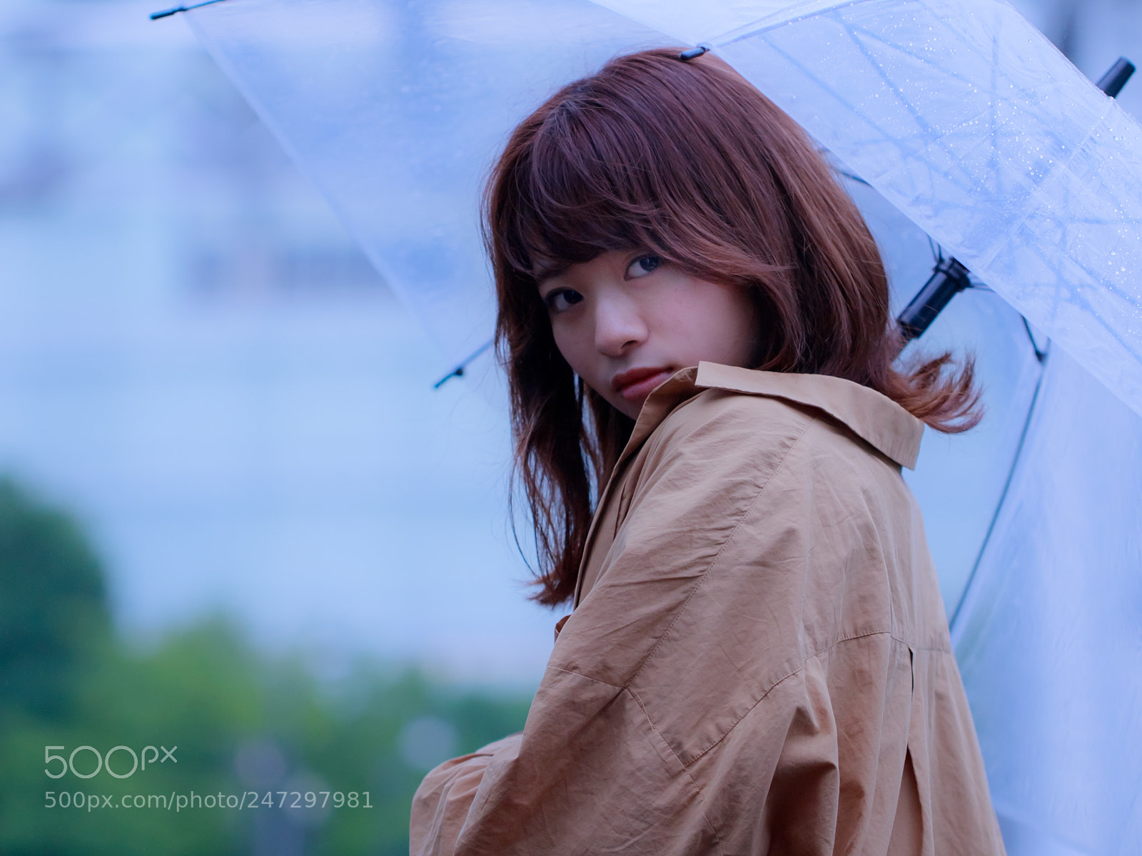Canon EOS 6D Mark II sample photo. Rainy day photography