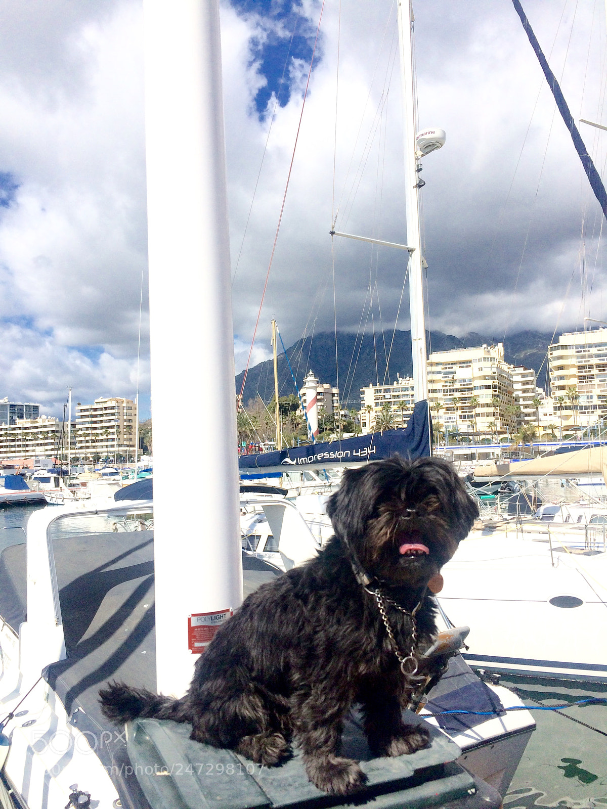 Apple iPhone 5s sample photo. Marinero en tierra? photography
