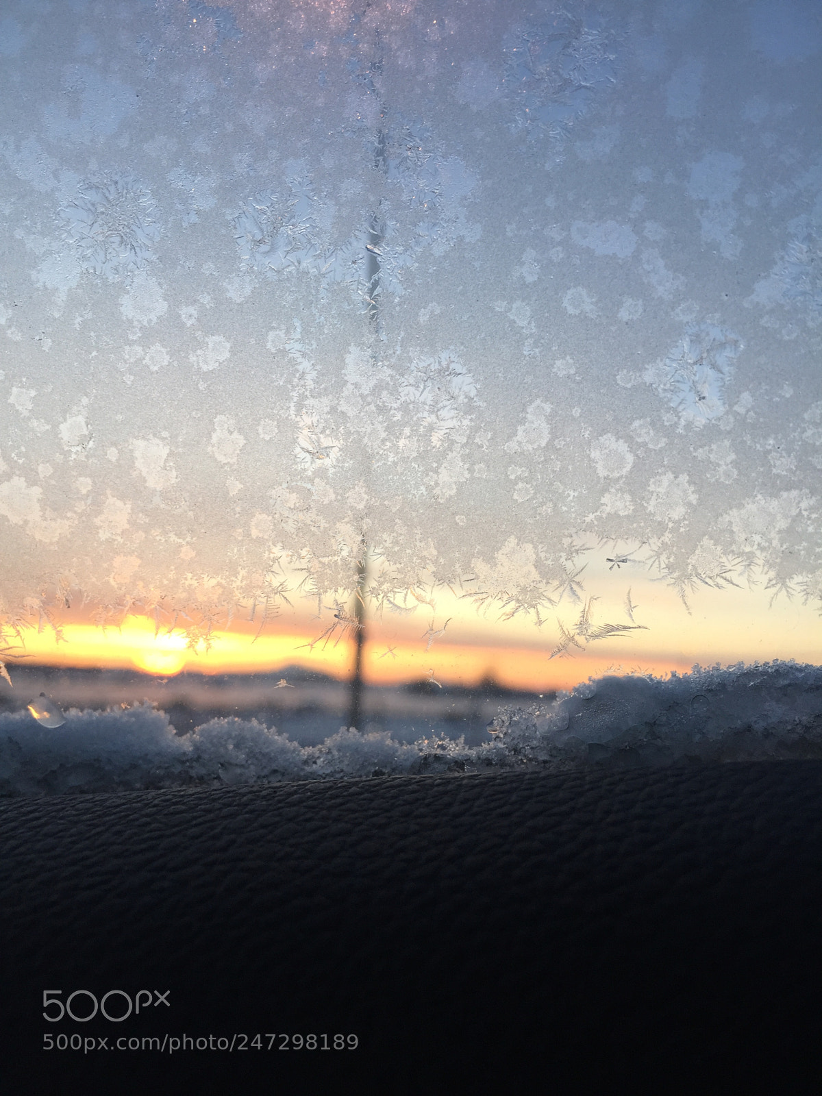 Apple iPhone 6 sample photo. Sunny day, snowy day photography