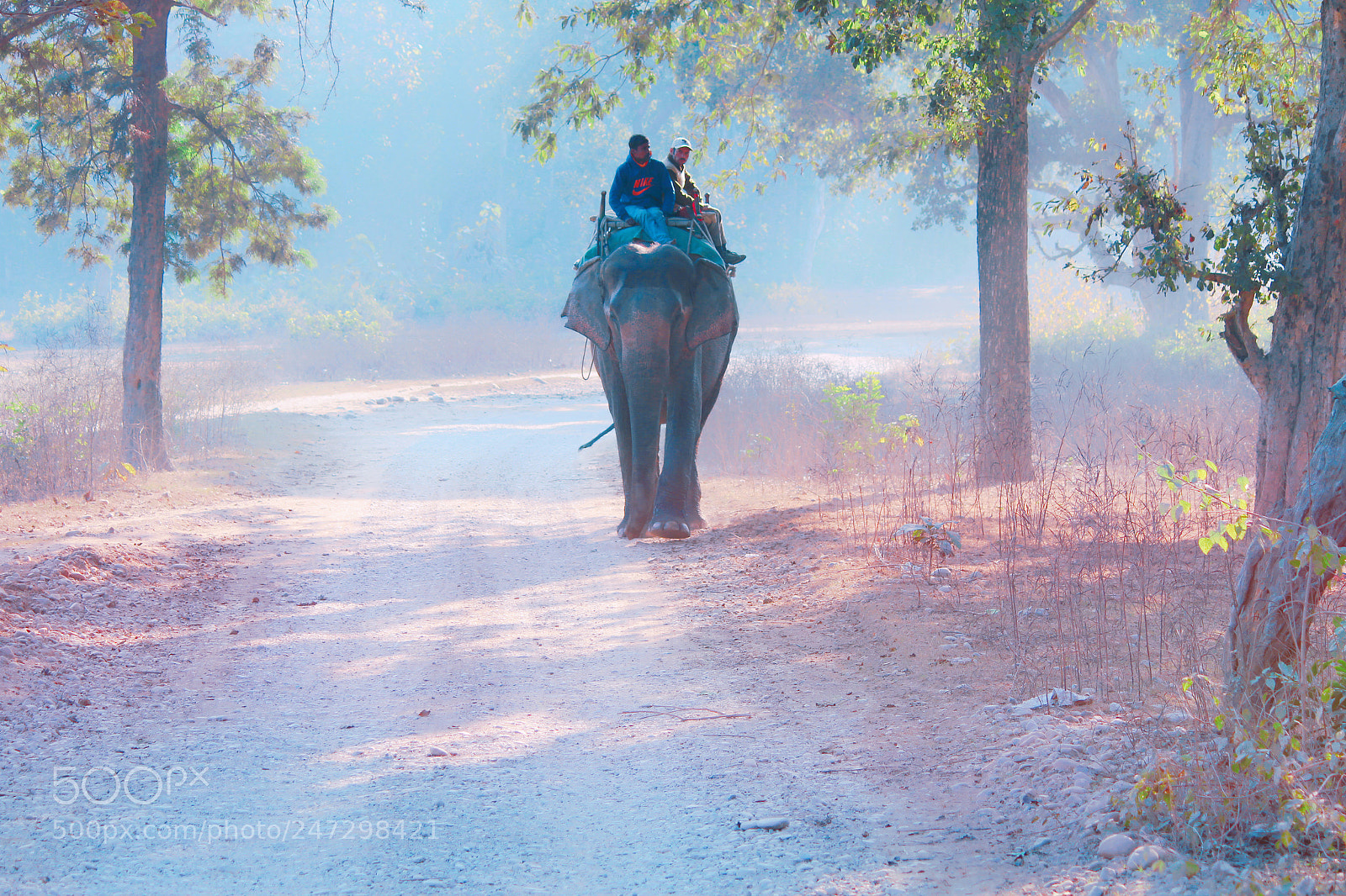 Canon EOS 700D (EOS Rebel T5i / EOS Kiss X7i) sample photo. Hathi mere sathi photography